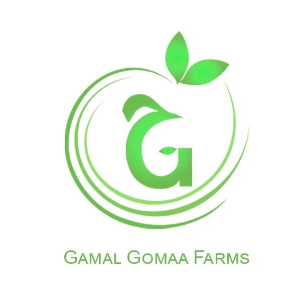 Gamal Gomaa Farms 